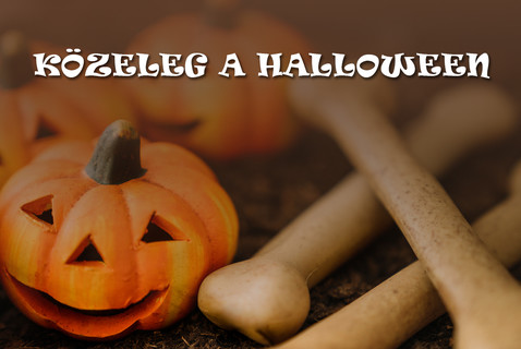 Közeleg a Halloween!