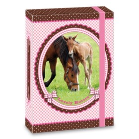 Ars Una My Horse lovas A/5 füzetbox