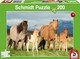 Family of Horses, 200 db