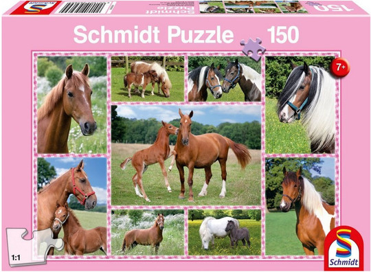 Beautiful Horses, 150 db