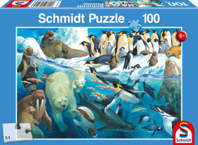 Animals of the polar regions, 100 db