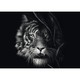 Wilderness-Tiger, the epitome of freedom (58541) 1