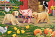  Schmidt Spiele Animals on the farm 3x48 db (56579) Gyerek kirakó 