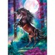 Schmidt Spiele Unicorn in full moon (58887) Kirakó 1000 db 
