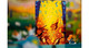 Dixit Kids