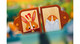 Dixit Kids
