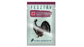 Fesztáv: Rajongói madárkártyapakli - Az Egyesült Királyság madarai
