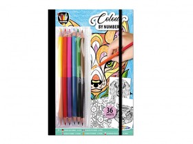Színezés számok szerint 36 mintával és színes ceruzákkal Grafix