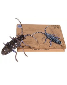 Mr.3D prémium puzzle, Cincér (Cerambycidae)