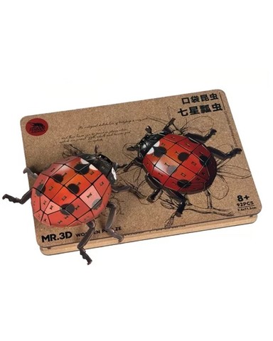 Mr.3D prémium puzzle, Hétpettyes katicabogár (Coccinella septempunctata)