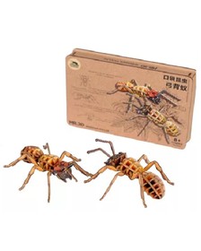 Mr.3D prémium puzzle, Lóhangya (Camponotus)