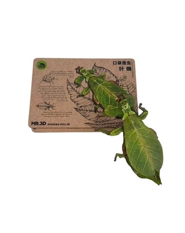 Mr.3D prémium puzzle, Vándorló levél sáska (Phyllium)