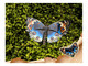 Mr.3D prémium puzzle, Tarkalepke (Junonia orithya)