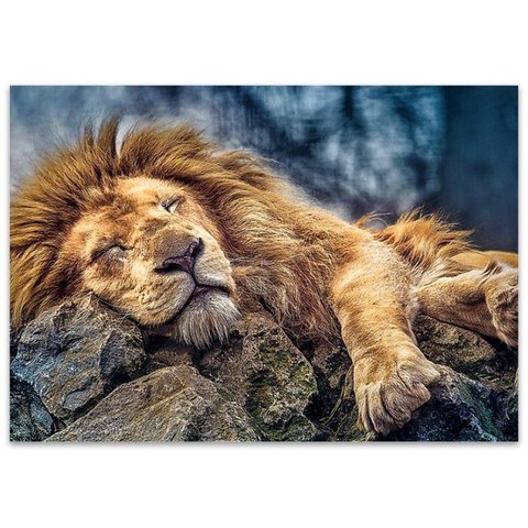 Alvó oroszlán 1000 darabos puzzle