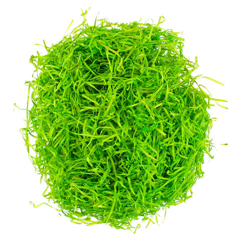 Húsvéti dekorációs fű zöld - 50g