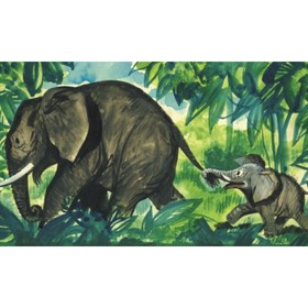 Jumbó, egy kis elefánt kalandjai diafilm