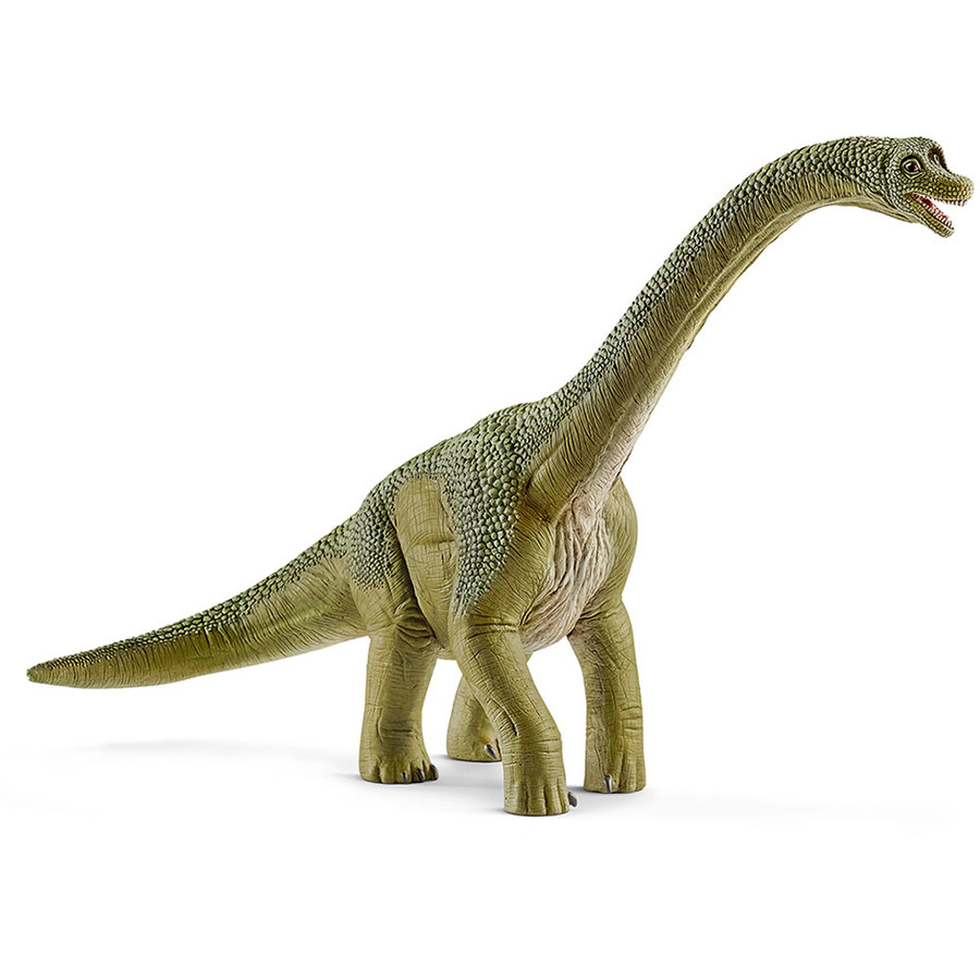 BRACHIOSAURUS | Kockamanó