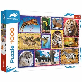 Puzzle Animal Planet - vadvilág kollázs 1000 db-os