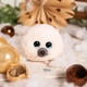 Nici: Boubelle fóka plüssfigura - 15 cm