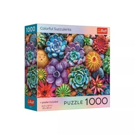 Square Box with poster - Colorful Succulents