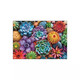 Square Box with poster - Colorful Succulents