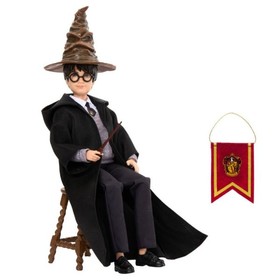 Harry and Sorting Hat