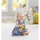 Fisher-Price: Csörgőszett