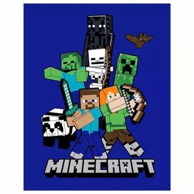 Minecraft: Alex, Steve és a csapat polár takaró - 110 x 140 cm