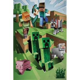 Minecraft: takaró 100x150 cm