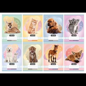 Nebulo: Állat mintás vonalas füzet, 12-32, A5 - többféle