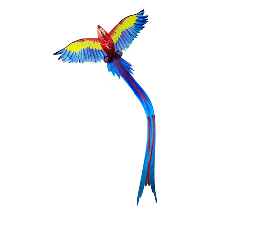 Könnyen összeállítható pop-up szélsárkány - 3D papagáj