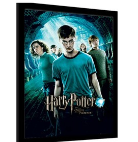 Harry Potter (ORDER OF THE PHOENIX) keretezett poszter