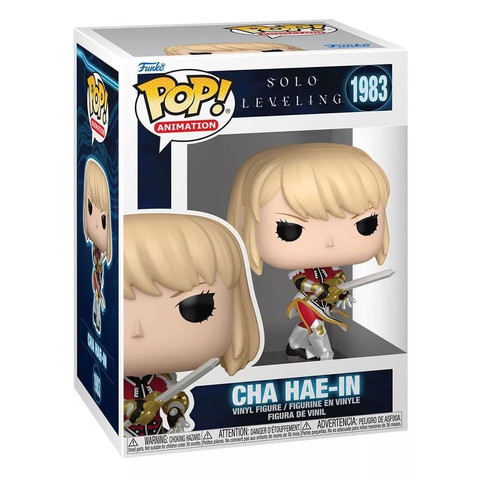 POP Animation: SLVL- Cha Hae-In