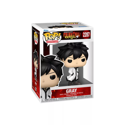 POP Animation: FT100YQ- Gray Chase