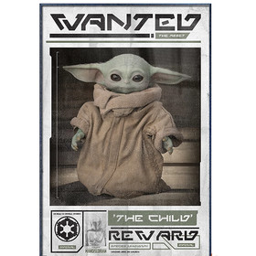 Star Wars: The Mandalorian (Wanted The Child)