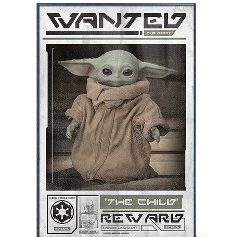 Star Wars: The Mandalorian (Wanted The Child)