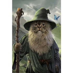 Pyramid CATDALF - MAXI poszter MAXI poszter
