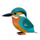 EUGY Kingfisher