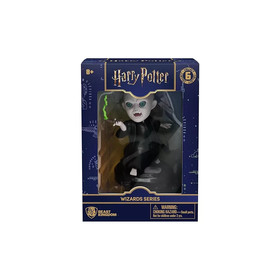 YuMe Harry Potter Hero Box Window Box Wizards Series Lord Voldemort