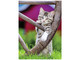 Puzzle 2x500 db - Kiscicák vidéken