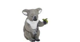 Koala.50111
