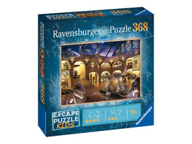 Puzzle Escape 368 db - Relytéjek múzeuma