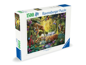 Puzzle 1500 db - Nyugodt tigrisek