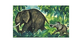 Jumbó, egy kis elefánt kalandjai diafilm 34101151