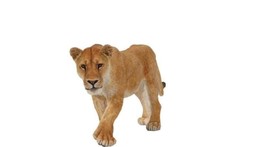 Nőstény oroszlán 50028