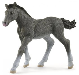 Schleich Trakehner csikó
