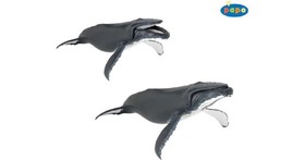 Papo hosszúszárnyú bálna 56001