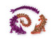 Crystalynx Dragons