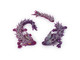 Crystalynx Dragons