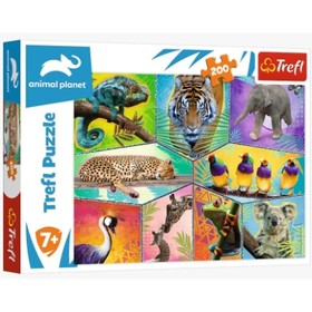 Animal Planet: Egzotikus világ 200db-os puzzle - Trefl